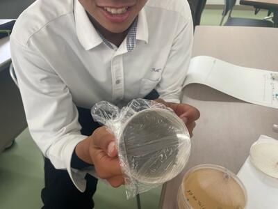 高大連携授業「しいたけによるリグニンの分解実験結果」1