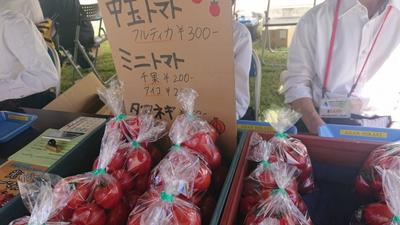 サマーフェスタ2023に出店しました1