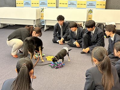 R20251114_012941236_iOS