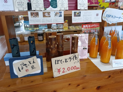 道の駅なかがわ２